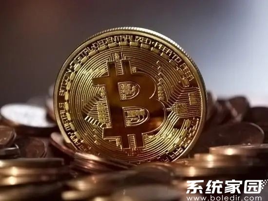 数字资产管理系统界面