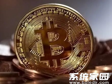 多维度数据展示