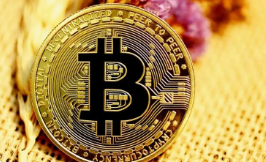 GoPay支付密码管理指南