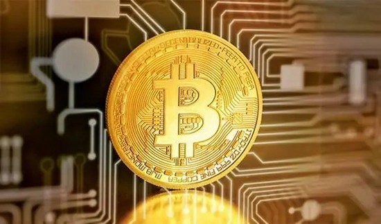 维卡币项目发展现状分析