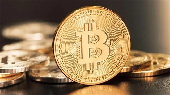 维卡币投资风险解析与价值前景探讨