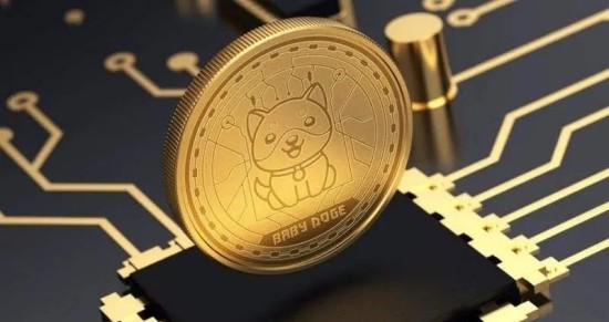 宝贝狗币当前价格走势与未来前景分析