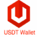 USDT支付钱包数字资产管理利器