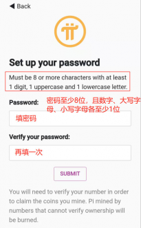 密码设置界面示意图