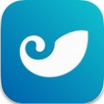 BCH数字交易平台安卓移动端高效