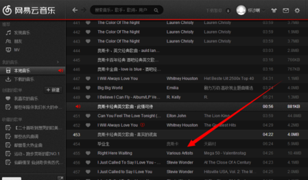 歌词显示效果示意图