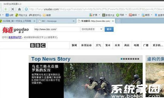 翻译完成后的中文网页效果
