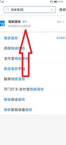 支付宝商家收款码申请流程详细教程