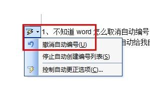 Word关闭自动编号操作示意图