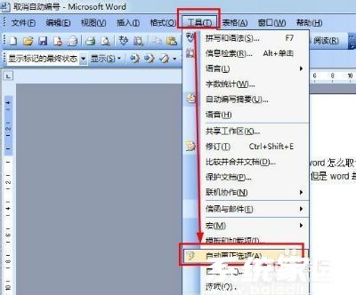 Word选项设置路径示意图