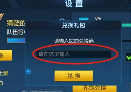 兑换码输入界面示意图