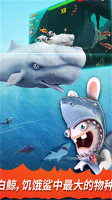 u9965u997fu9ca8u8fdbu5316u6700u65b0u514du8d39u7248