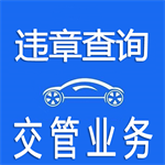 全国交通违章查询服务