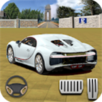 真实驾驶模拟停车中文版v1.0 去广告版