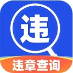 驾驶违章查询实用工具