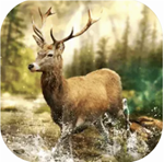 荒野狩猎王者免费畅玩射击v1.2 汉化版