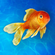 水族馆模拟器3D海洋经营之旅