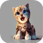 真实小猫3D模拟自由探索版v1.0 免费版