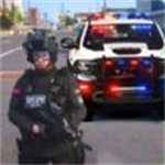 真实警察模拟巡逻手机版