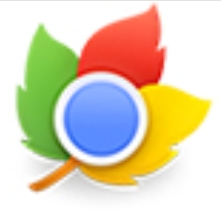 枫树浏览器双核极速安全上网首选v2.0.9.20 