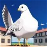 鸽子冒险奇幻世界特色玩法