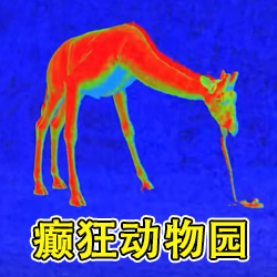 恐惧滋生沉浸式密室逃脱