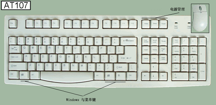 检测效果展示