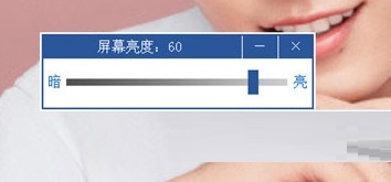 软件界面示意图
