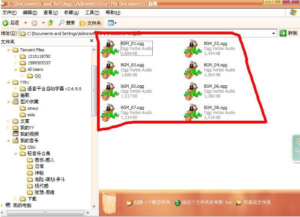 格式支持