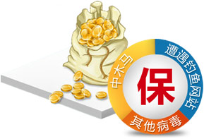 支付保护界面